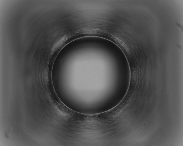 X0000093250682200709261720