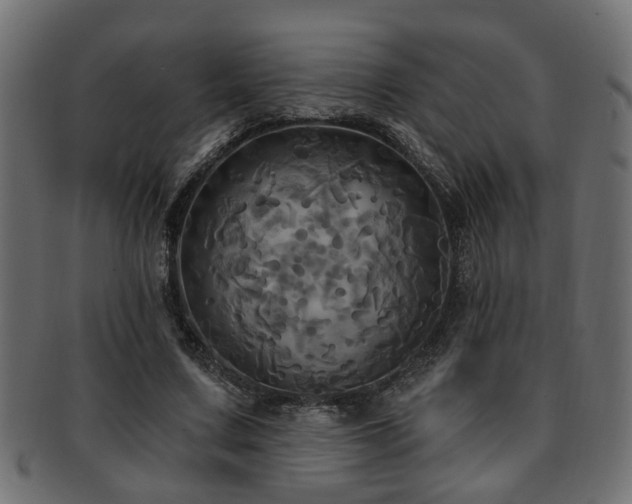 X0000093250683200709261720
