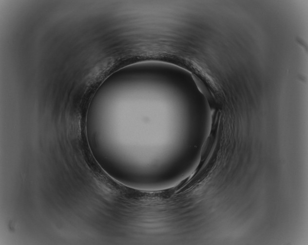 X0000093250685200709261720