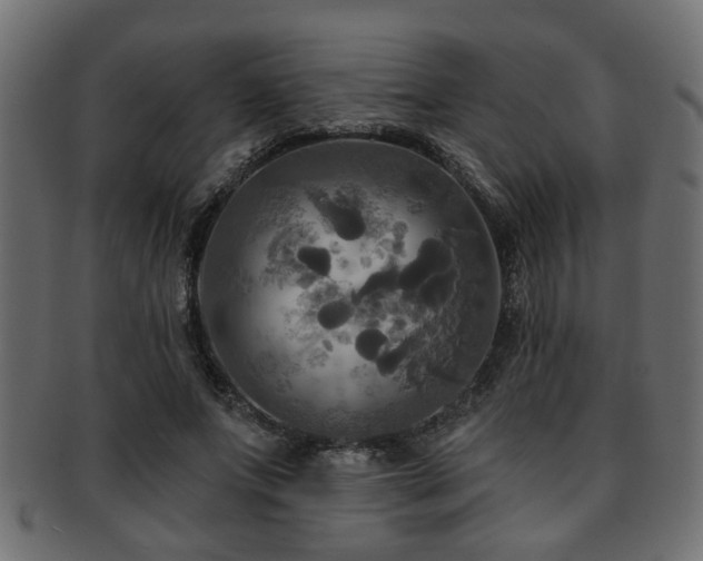 X0000093250687200709261720