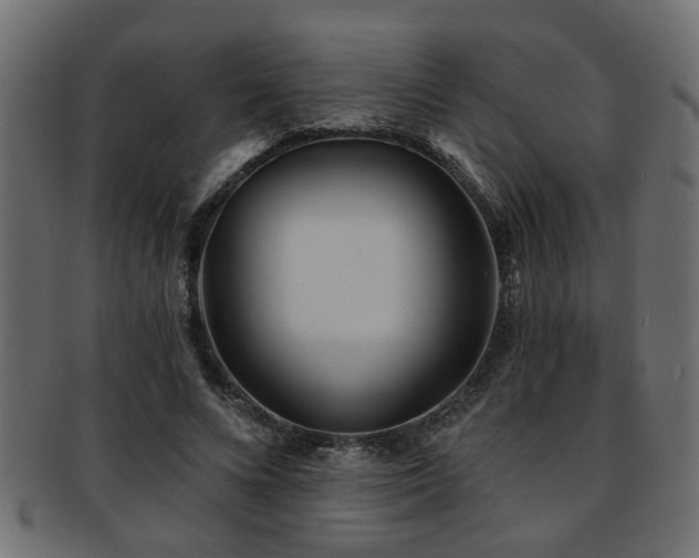 X0000093250688200709261720