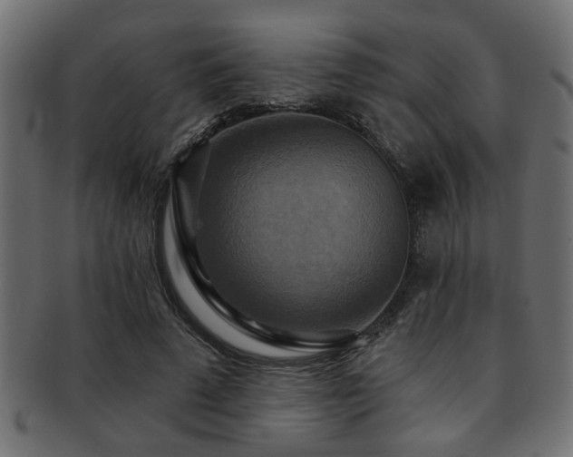 X0000093250689200709261720