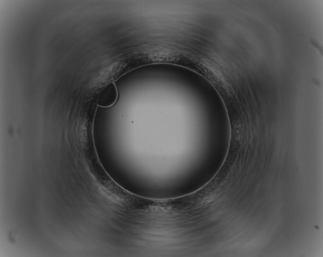 X0000093250690200709261720