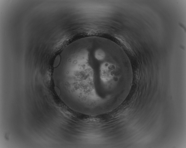 X0000093250691200709261720