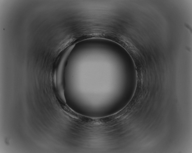 X0000093250696200709261720