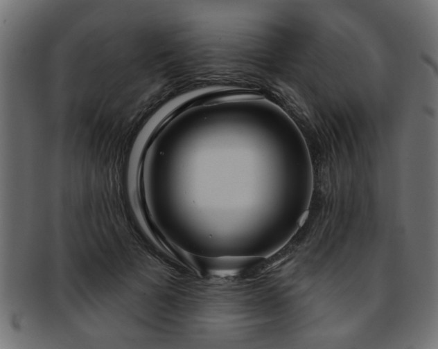 X0000093250697200709261720