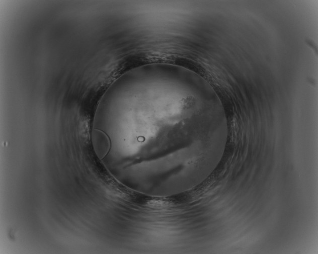 X0000093250699200709261720
