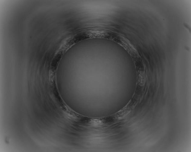 X0000093250701200709261720