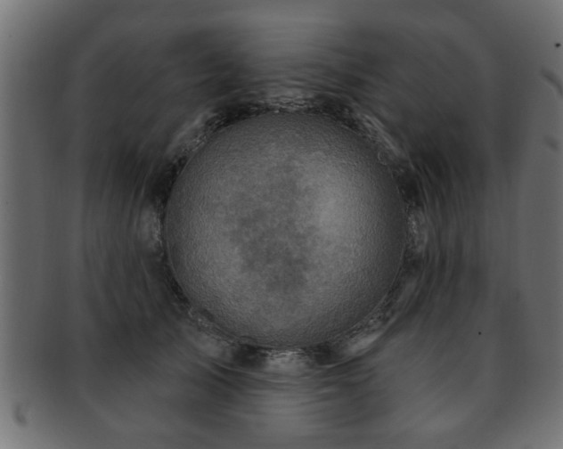 X0000093250705200709261720