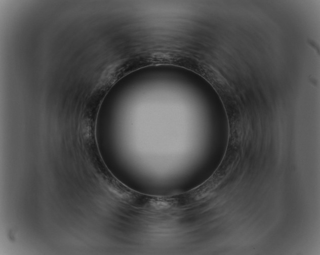 X0000093250706200709261720