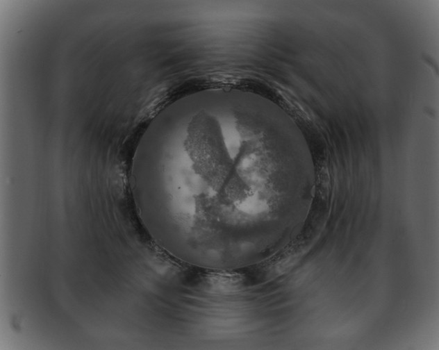 X0000093250707200709261720