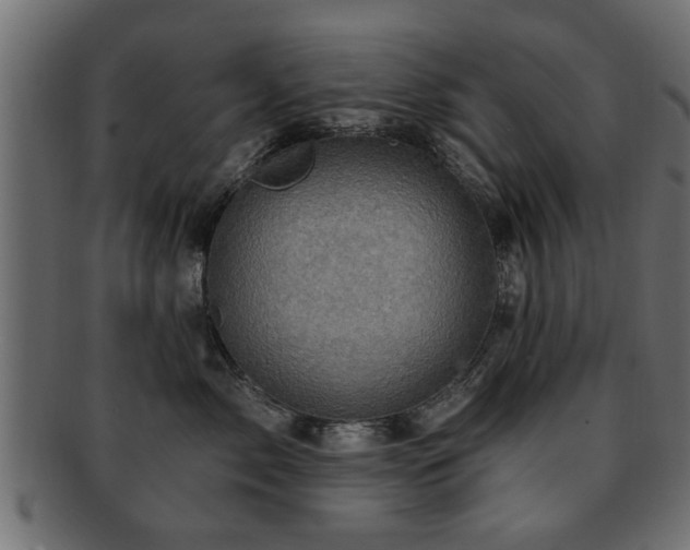 X0000093250717200709261719