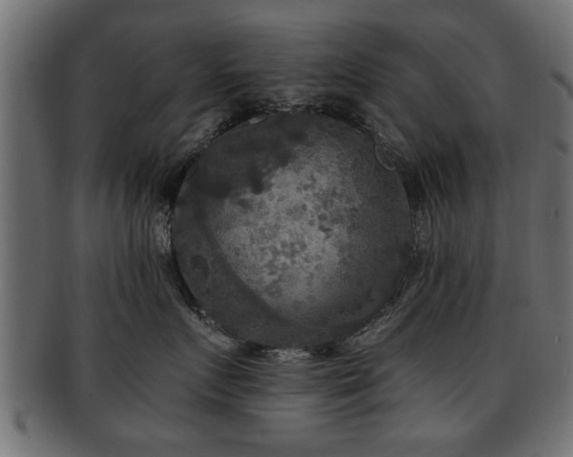 X0000093250719200709261719