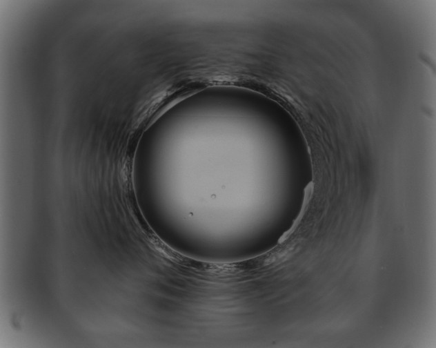 X0000093250720200709261719