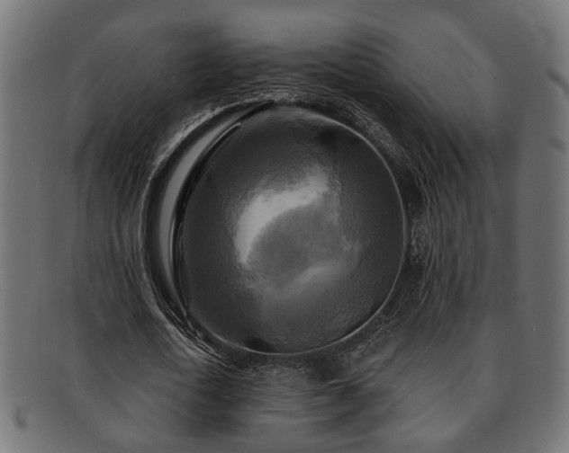 X0000093250722200709261719
