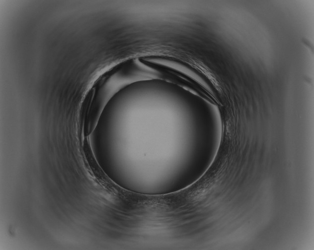 X0000093250724200709261719