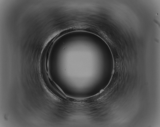 X0000093250726200709261719