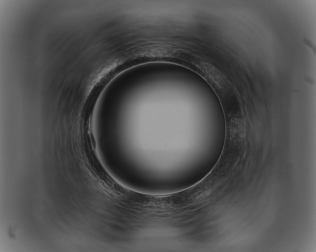 X0000093250727200709261719