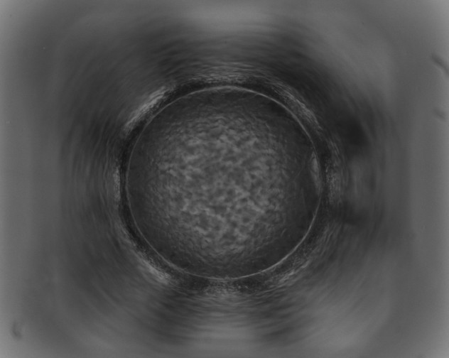 X0000093250729200709261719