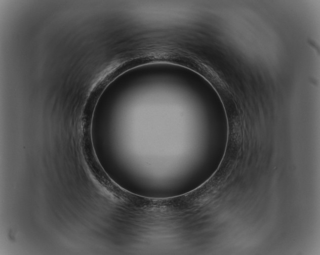 X0000093250730200709261719