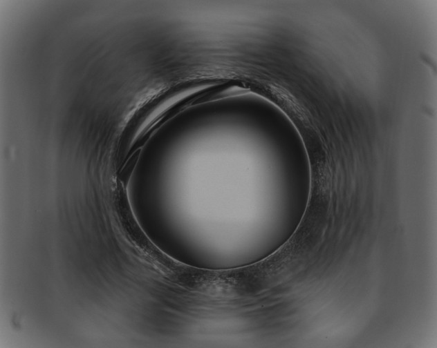 X0000093250731200709261719