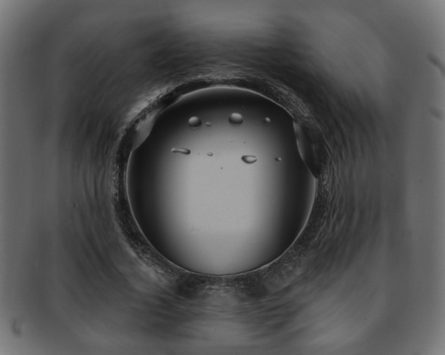 X0000093250732200709261719