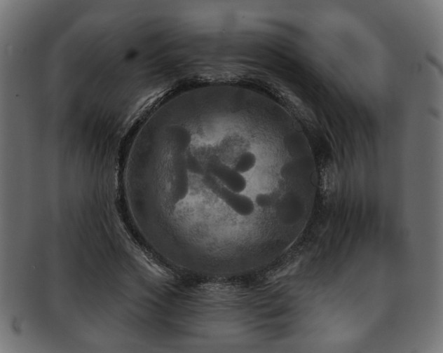 X0000093250733200709261719