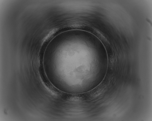 X0000093250734200709261719