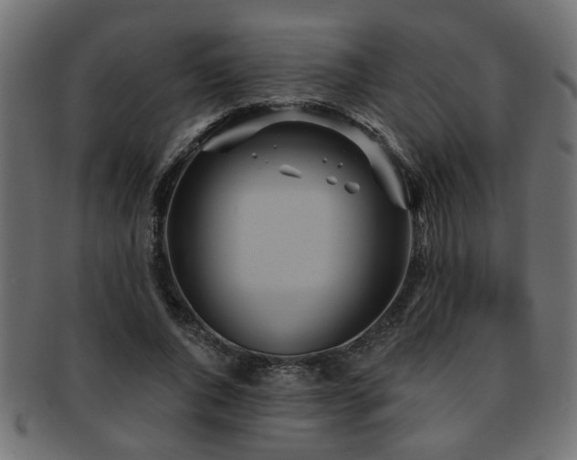 X0000093250736200709261719