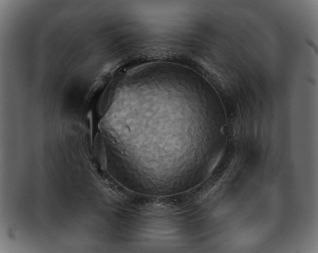 X0000093250737200709261719