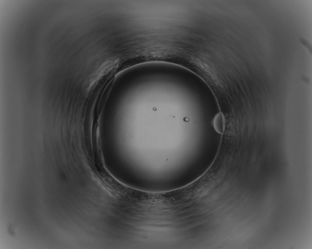 X0000093250738200709261719