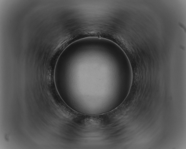 X0000093250739200709261719