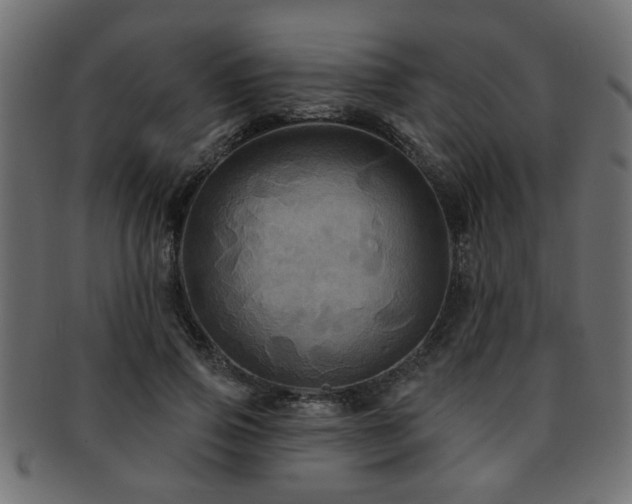X0000093250741200709261719