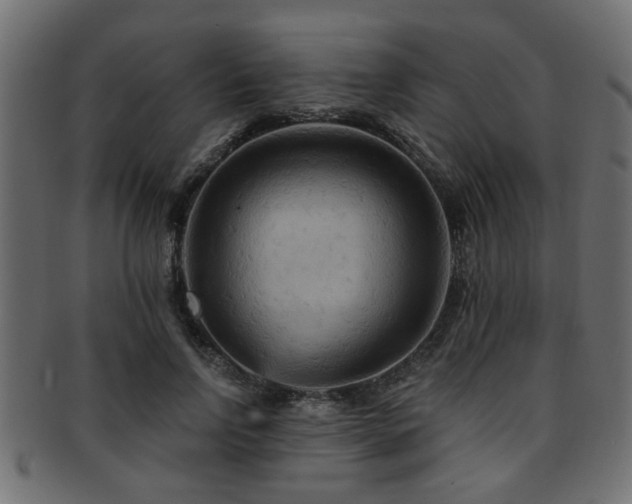 X0000093250742200709261719