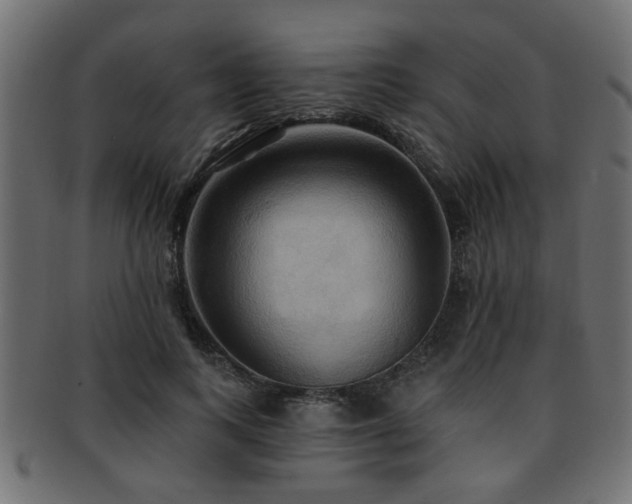 X0000093250743200709261719