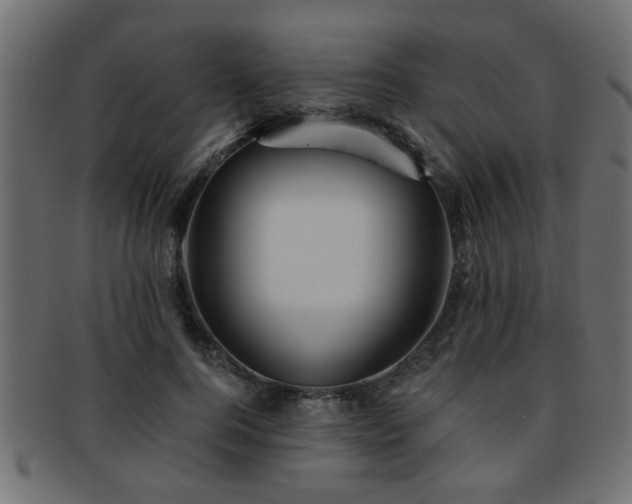 X0000093250744200709261719