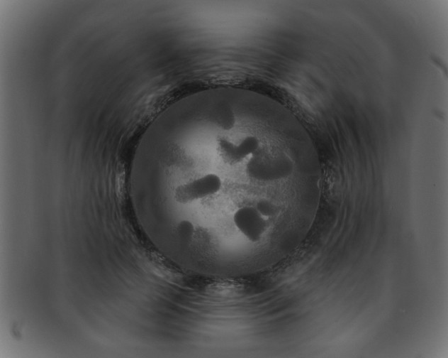 X0000093250745200709261719