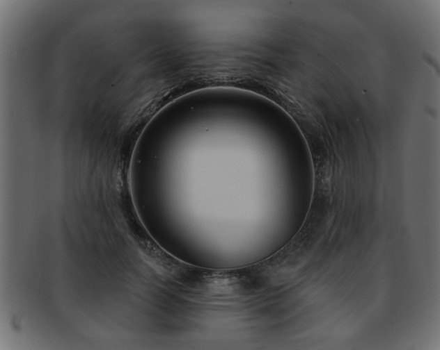X0000093250746200709261719