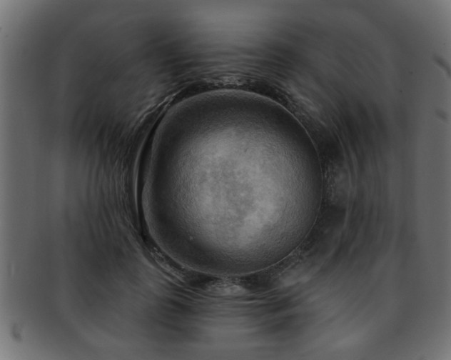X0000093250747200709261719