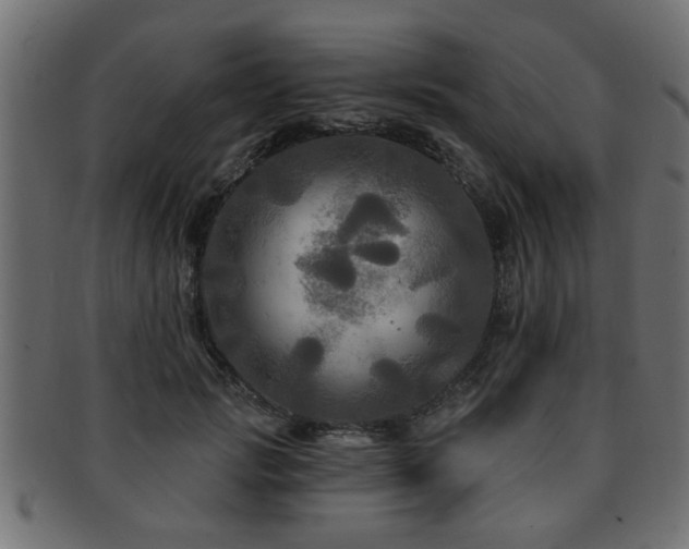 X0000093250749200709261719