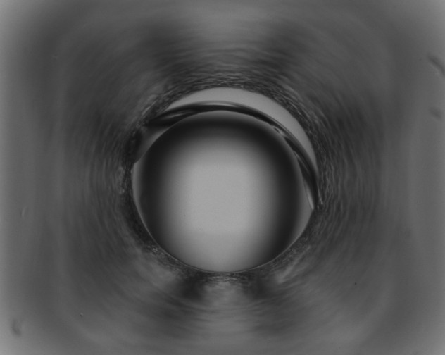 X0000093250750200709261719