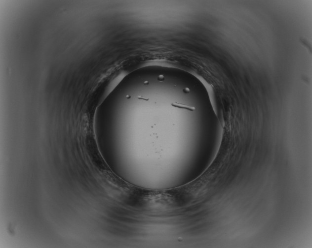 X0000093250752200709261719