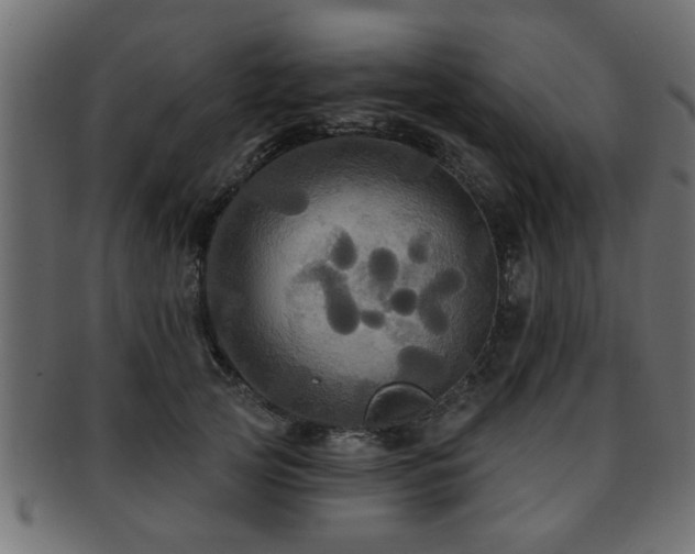 X0000093250753200709261719