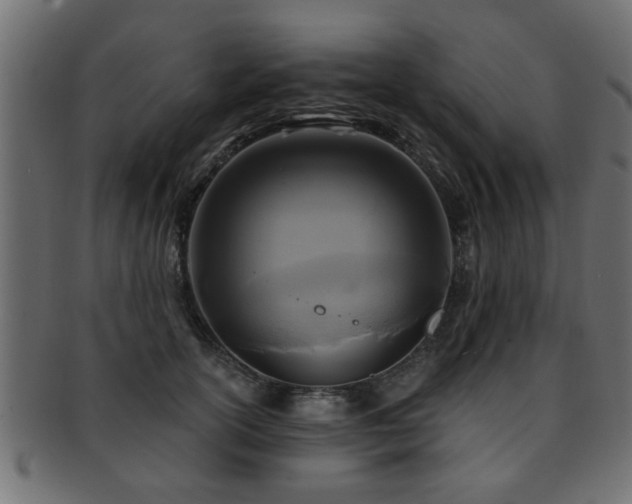 X0000093250754200709261719
