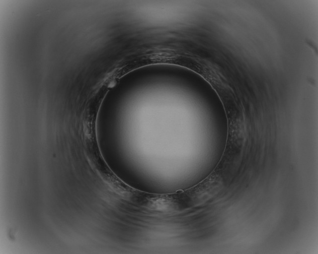 X0000093250755200709261719