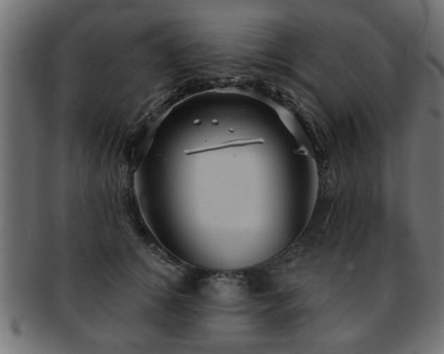 X0000093250756200709261719
