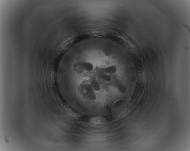 X0000093250757200709261719