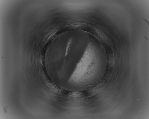 X0000093250758200709261719