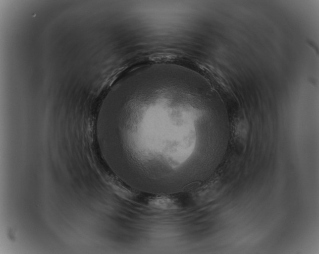 X0000093250759200709261719