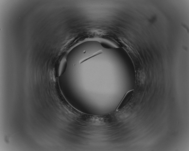 X0000093250760200709261719